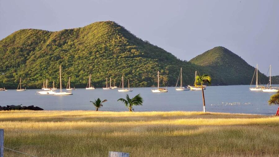 The founders of Sweet Escape Tours showing guests around St. Lucia